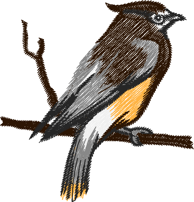 Birds 19 (54)