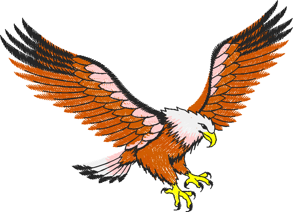Birds 19 (63)