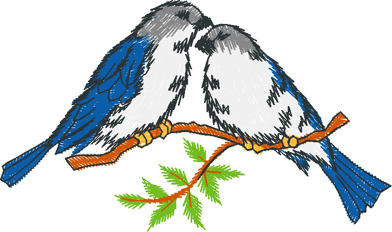 Birds 19 (67)