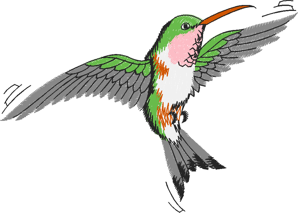 Birds 19 (68)