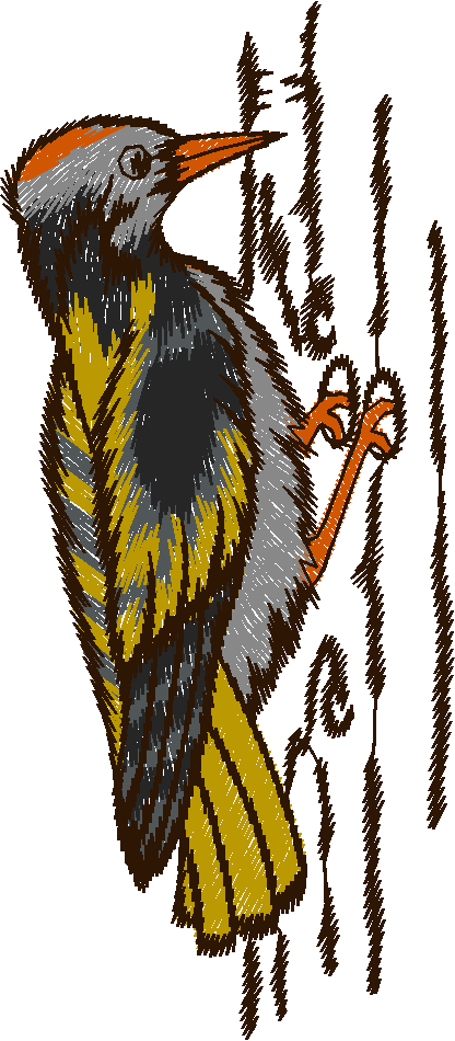 Birds 19 (72)