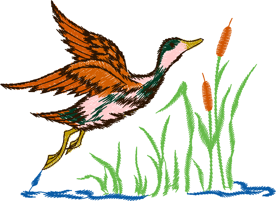 Birds 19 (75)