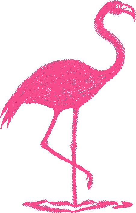 Birds 19 (83)