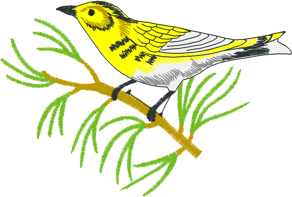 Birds 2 (15)