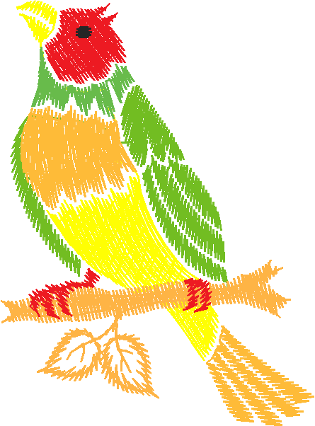 Birds 20 (17)