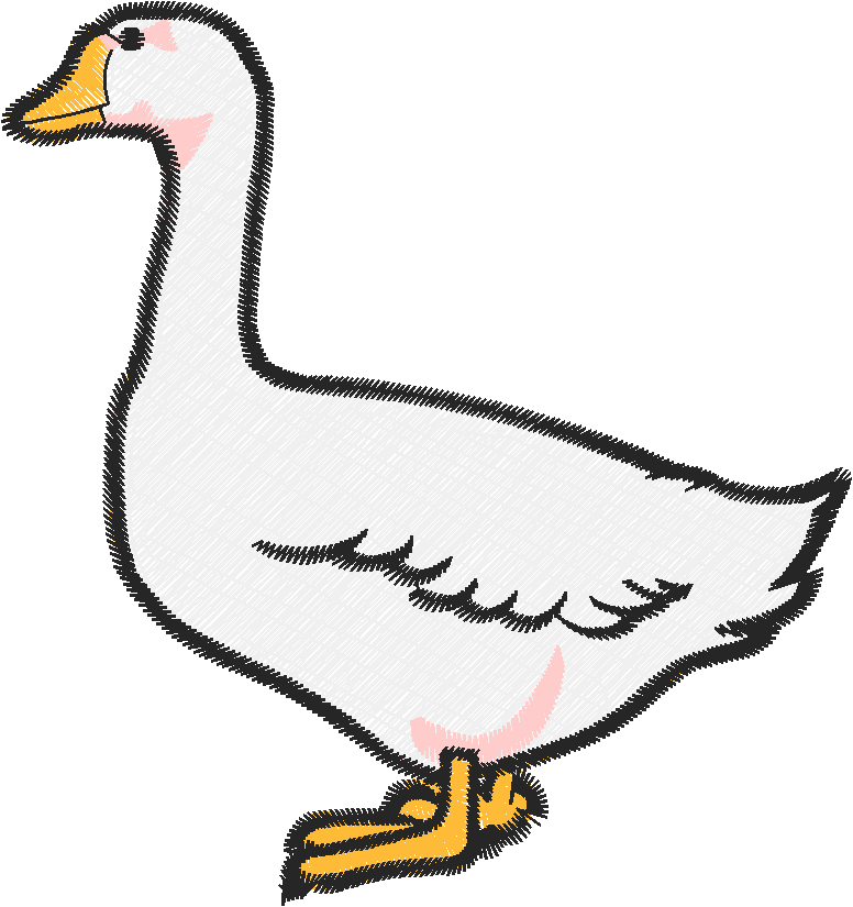 Birds 20 (27)