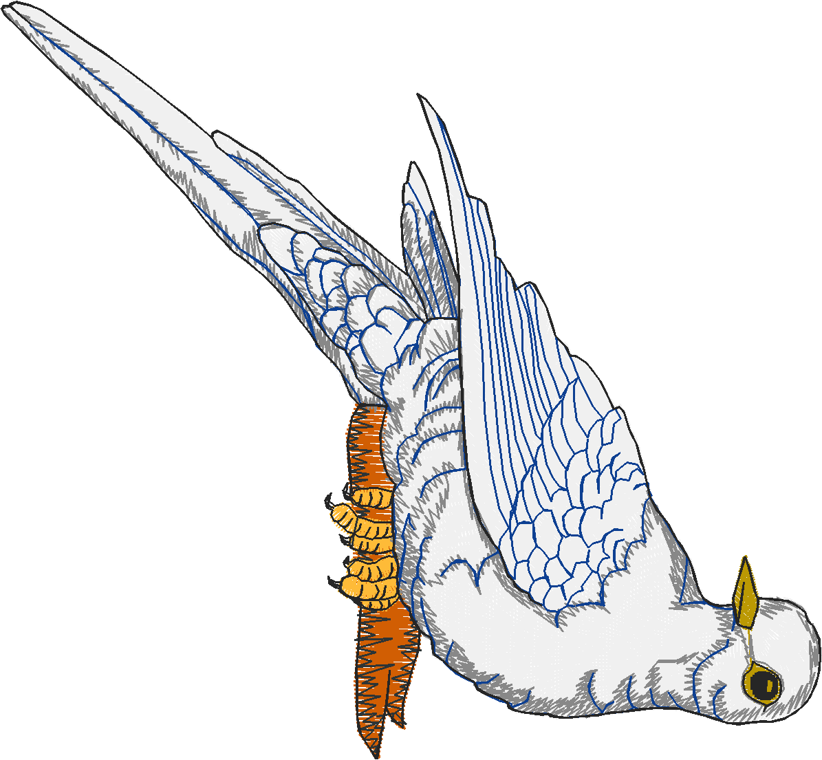 Birds 20 (29)