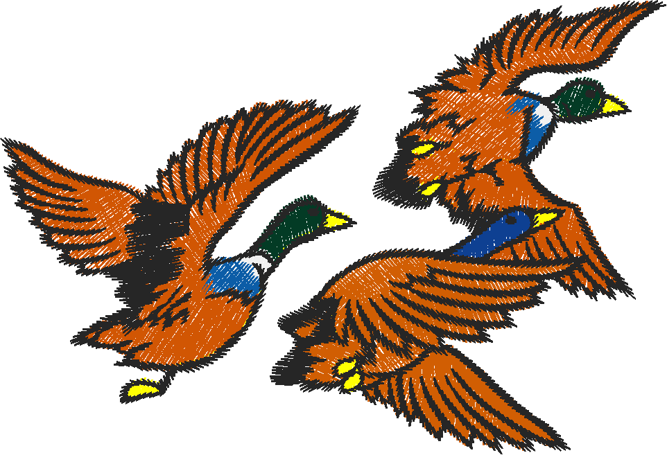 Birds 20 (4)