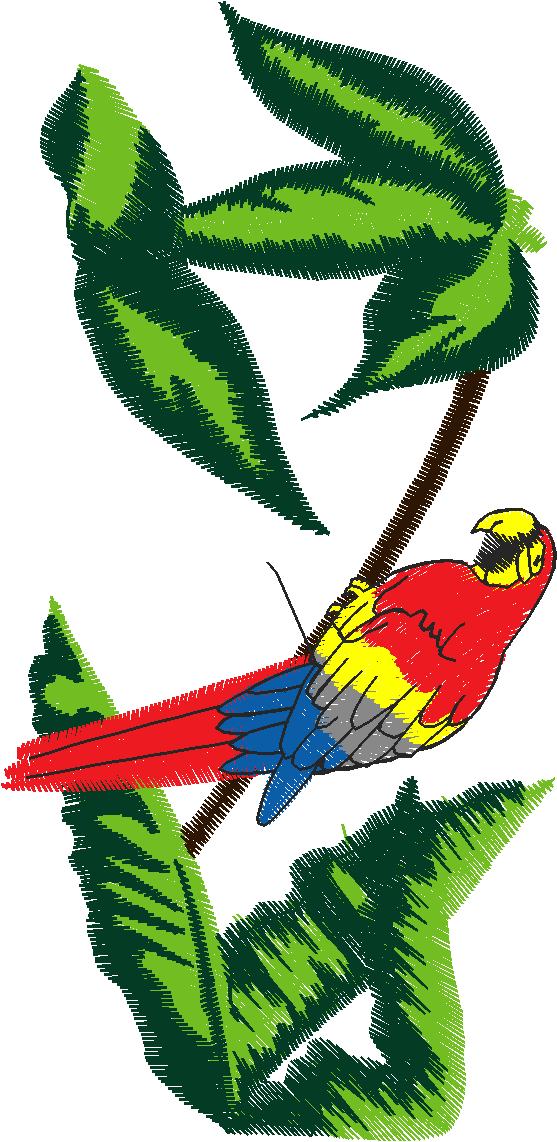 Birds 20 (89)