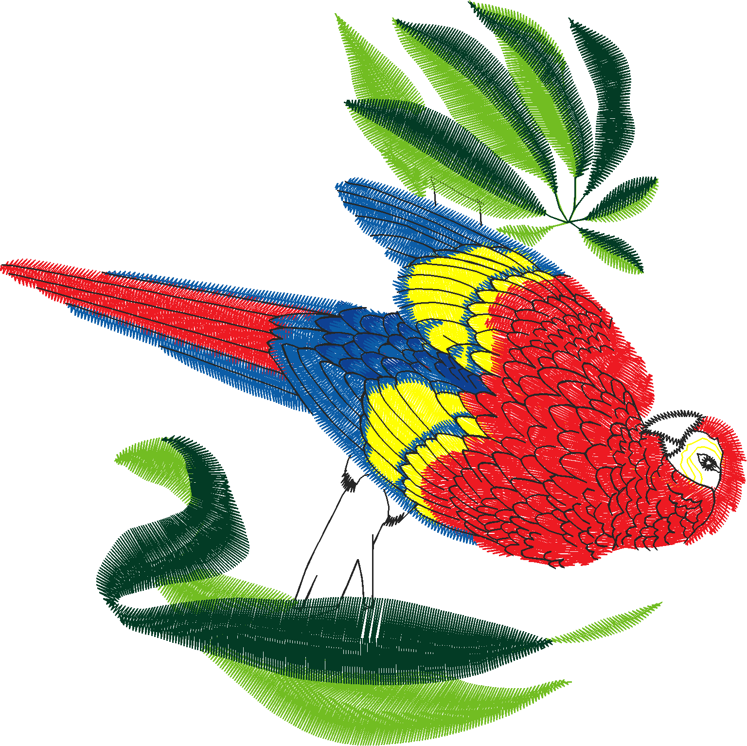 Birds 20 (91)