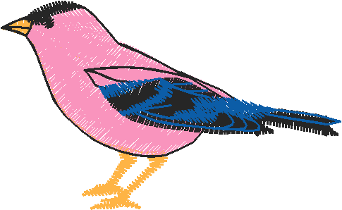 Birds 20 (96)