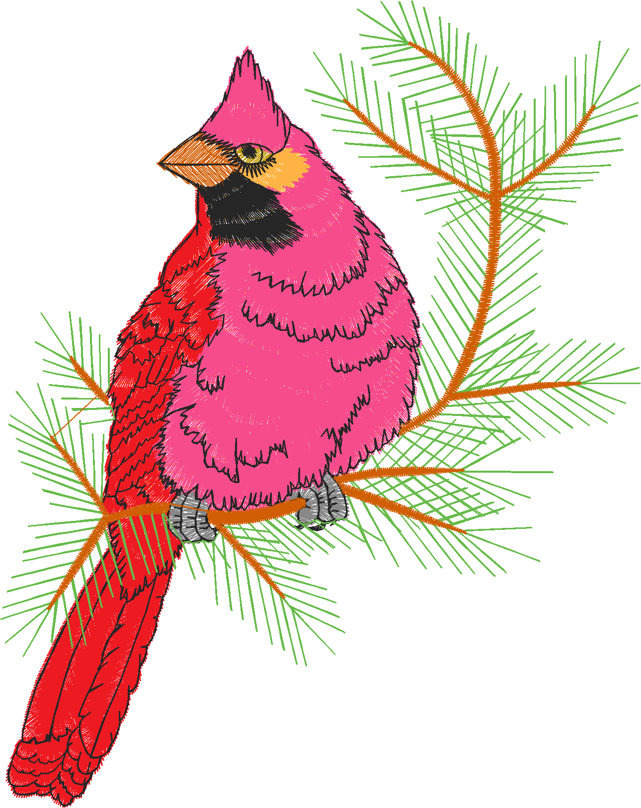 Birds 21 (43)