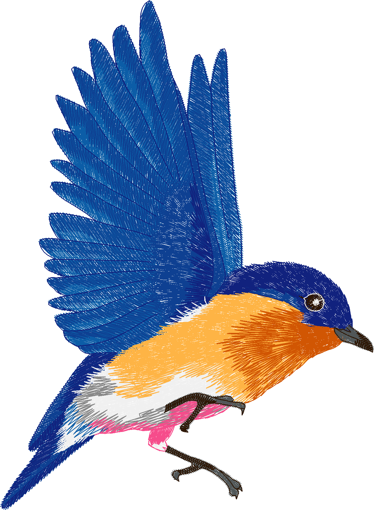 Birds 21 (56)