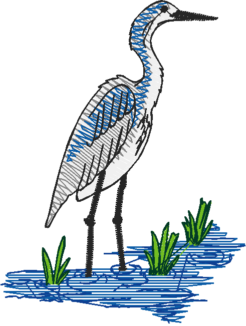 Birds 21 (71)