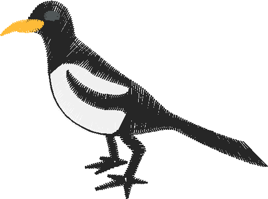 Birds 22 (15)