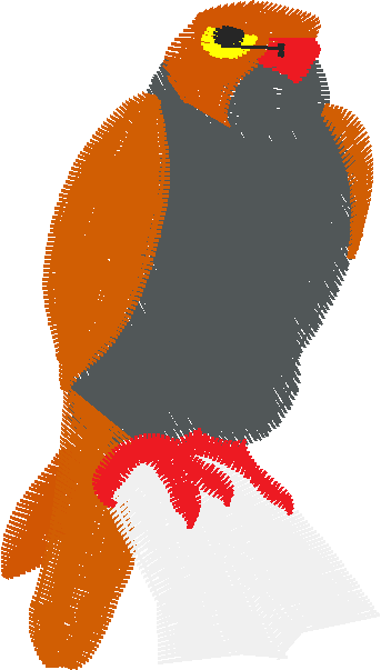 Birds 22 (16)