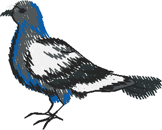 Birds 22 (3)