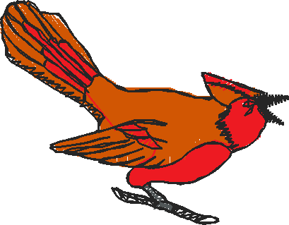Birds 22 (31)