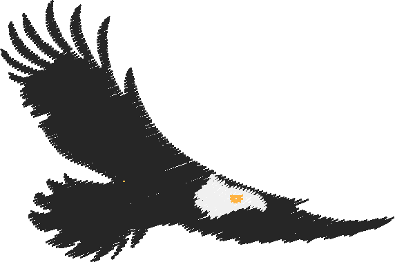 Birds 22 (33)