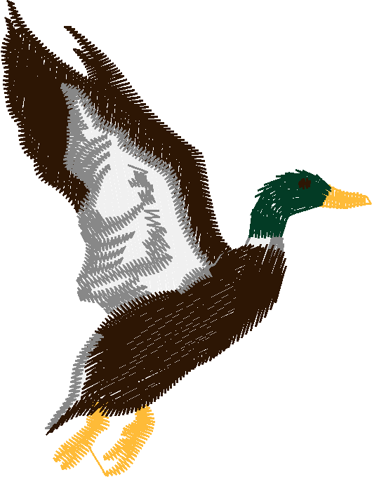 Birds 22 (5)