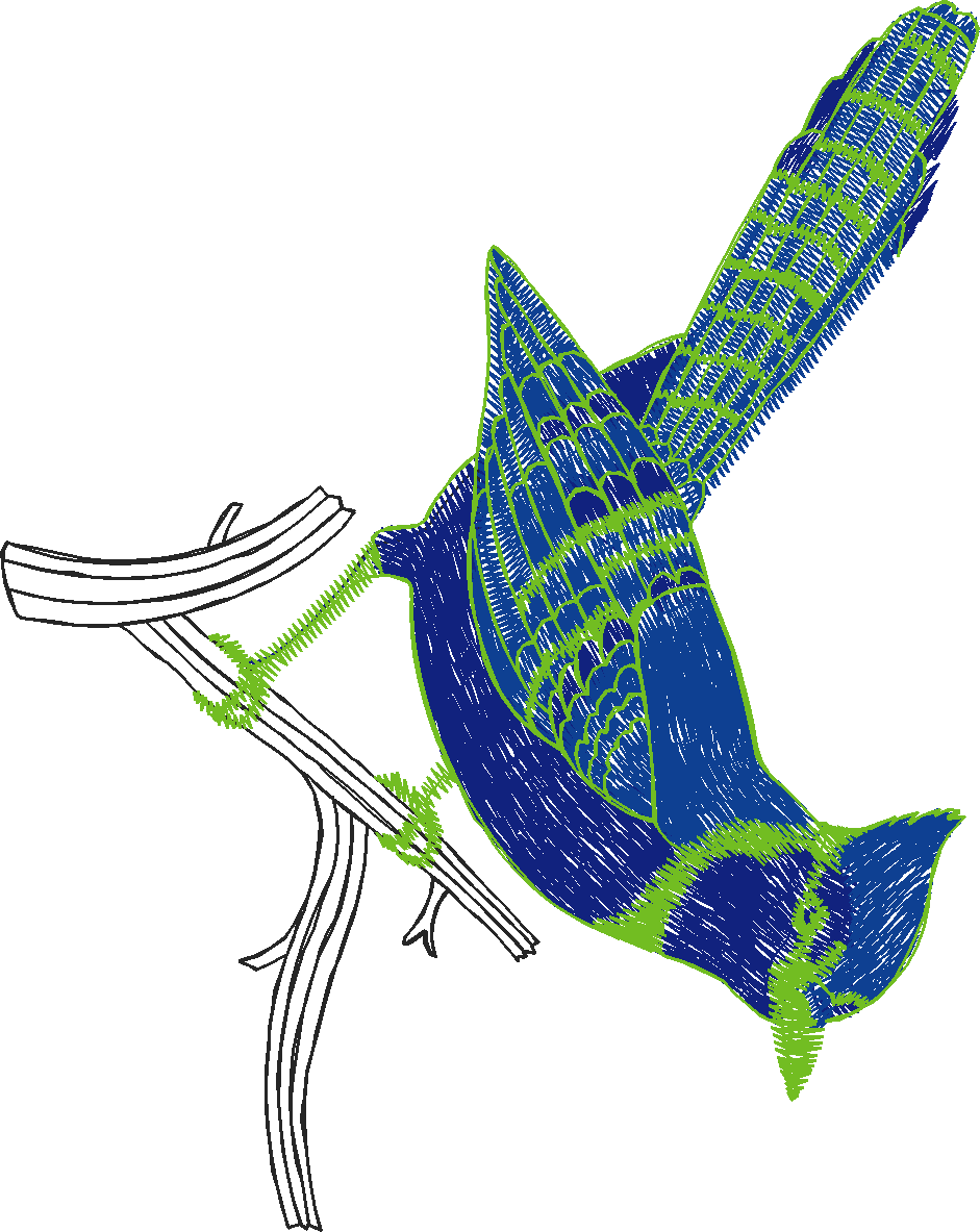Birds 22 (54)