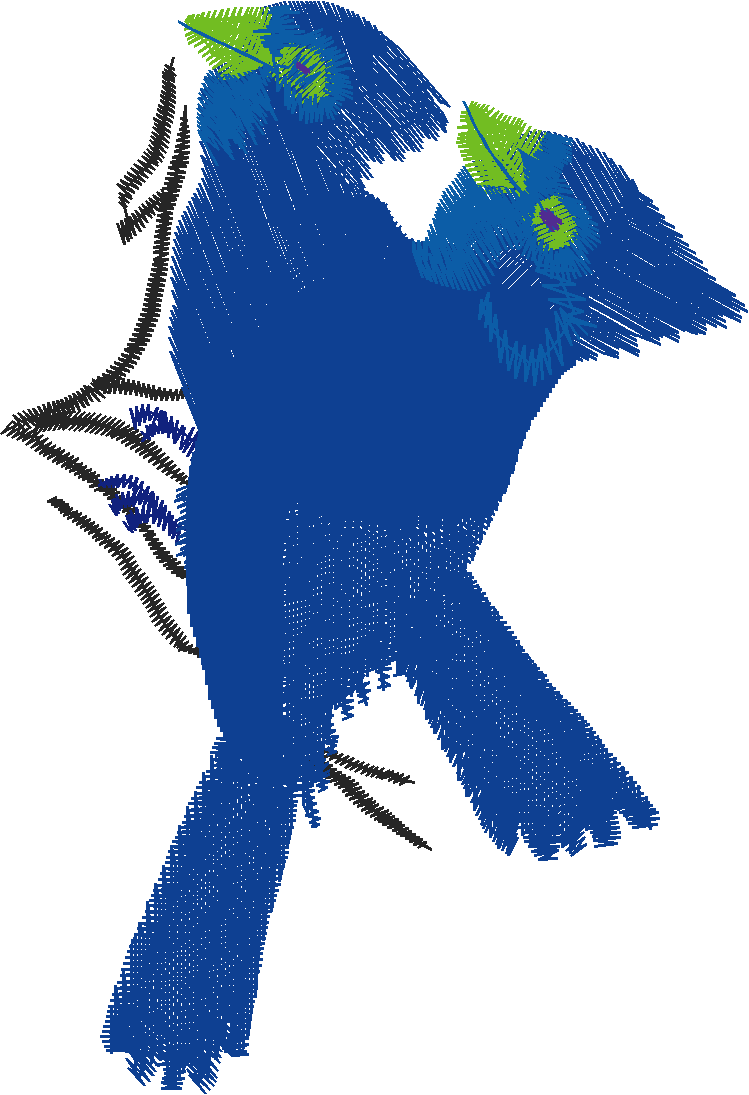 Birds 22 (55)