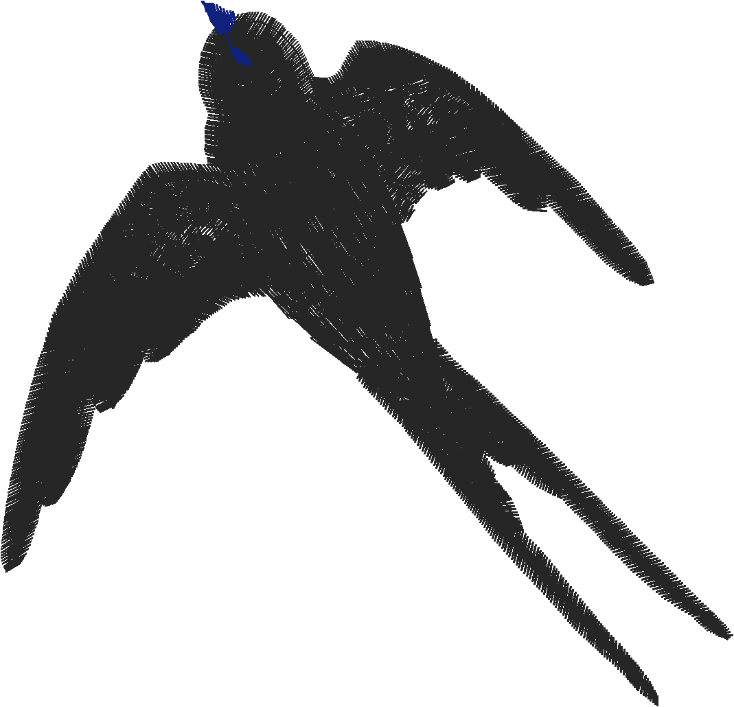 Birds 22 (56)