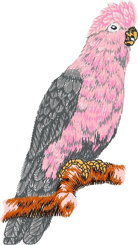 Birds 22 (62)