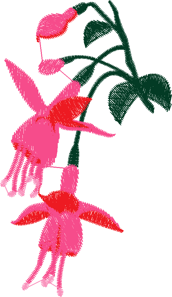 Birds 3 (9)