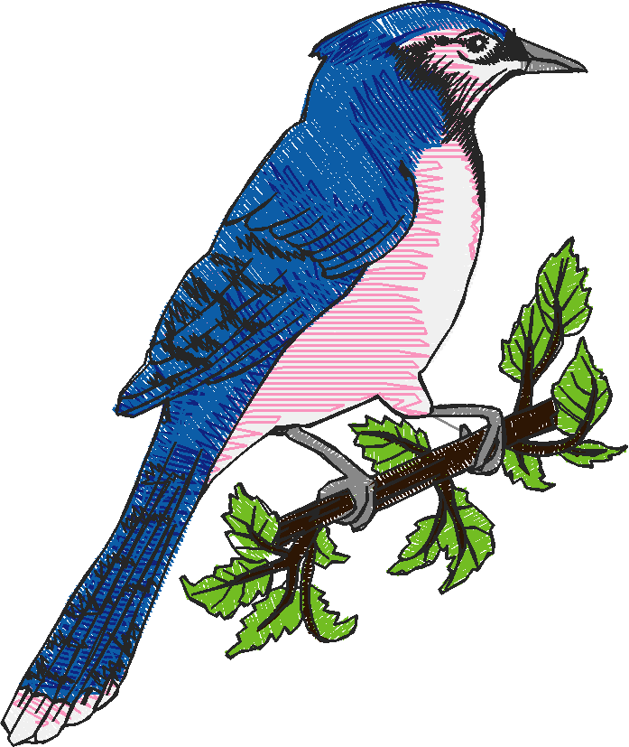 Birds 5 (5)