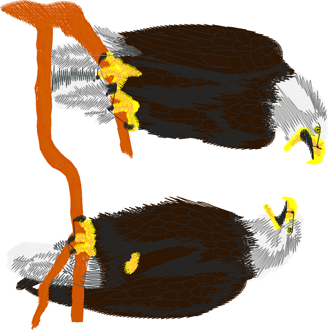Birds 6 (5)