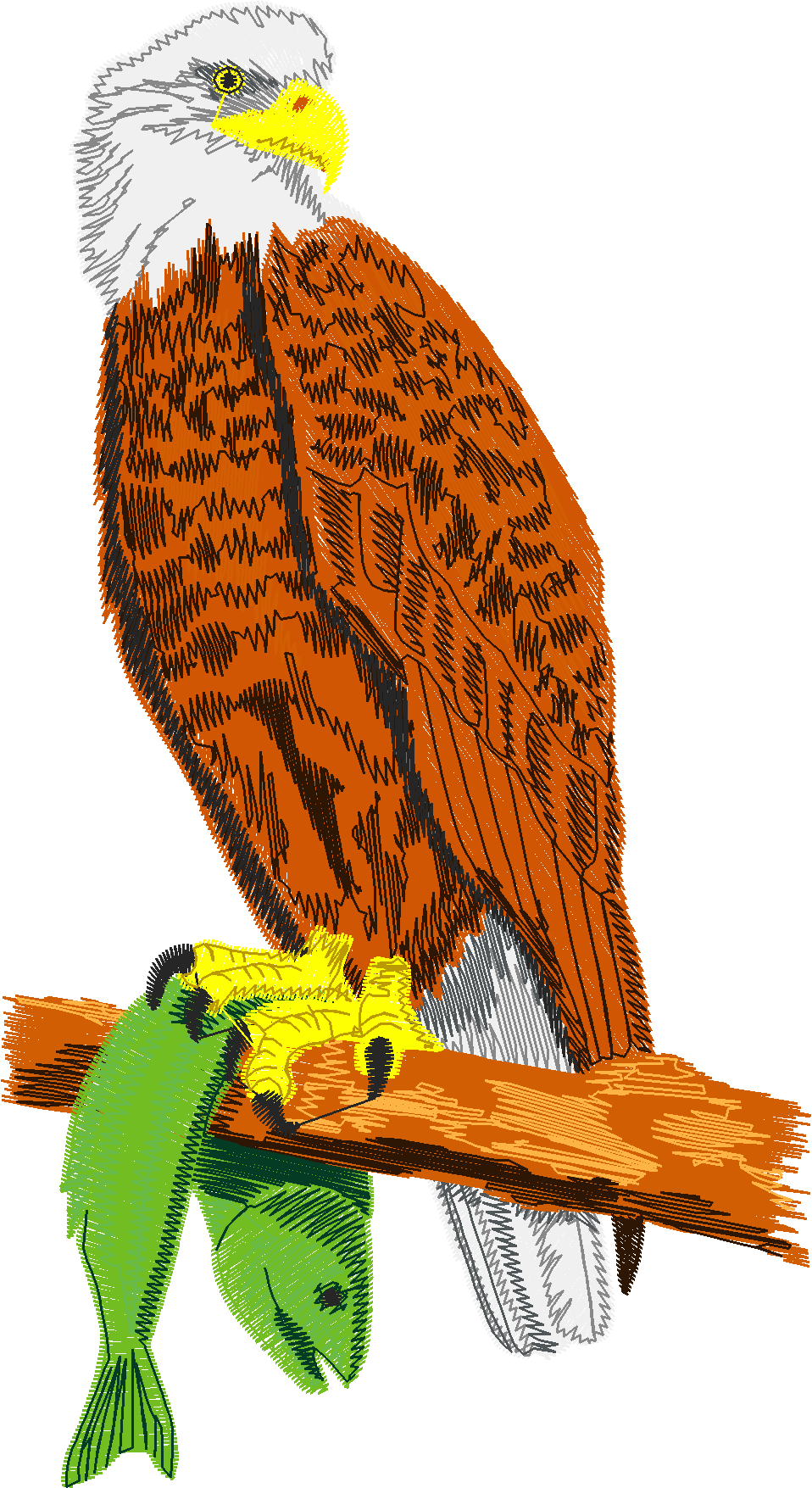 Birds 6 (6)