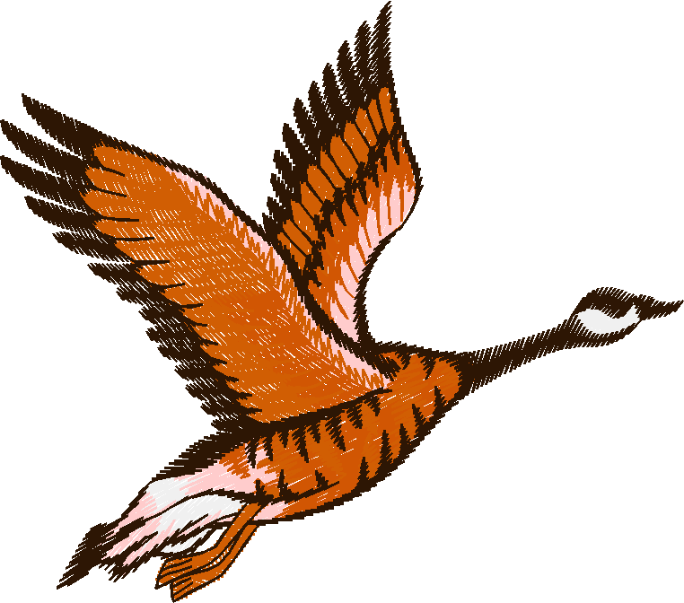 Birds 9 (14)