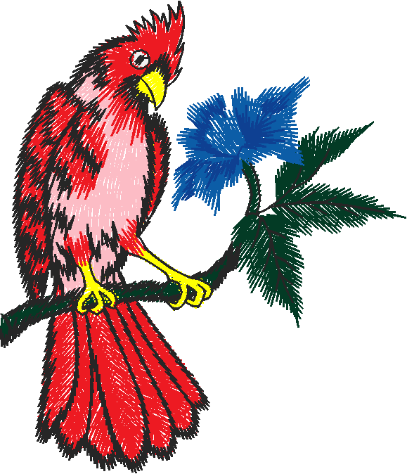 Birds 9 (18)