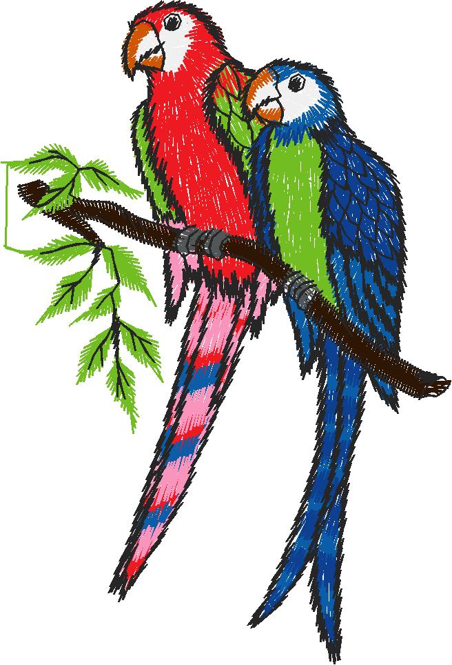Birds 9 (20)
