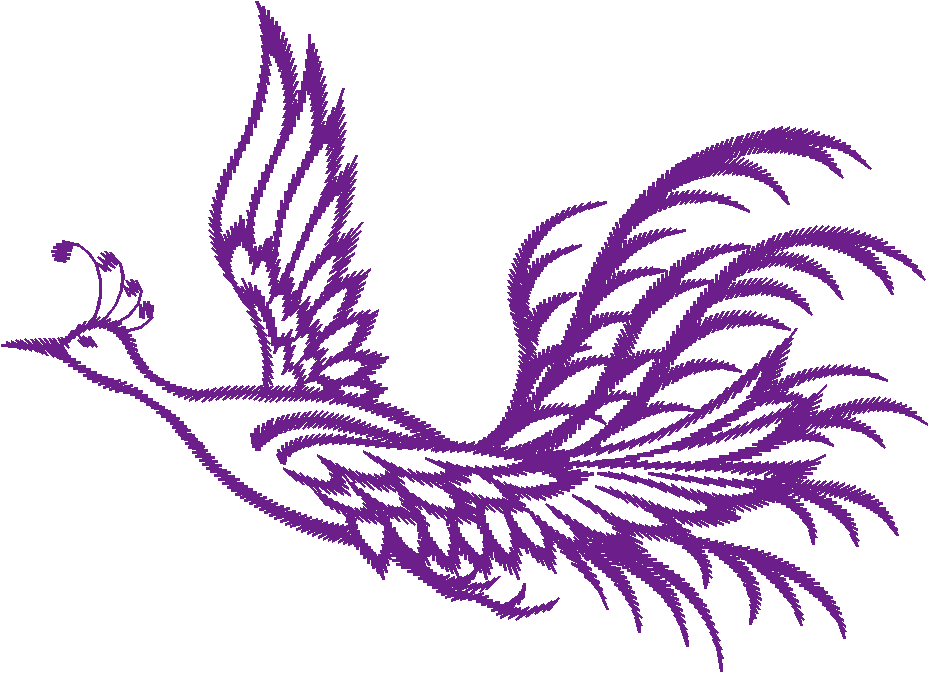 Birds 9 (24)