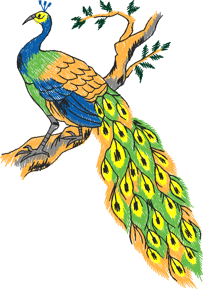 Birds 9 (8)