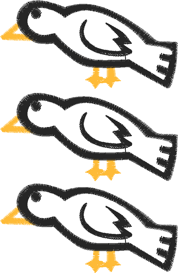 Birds