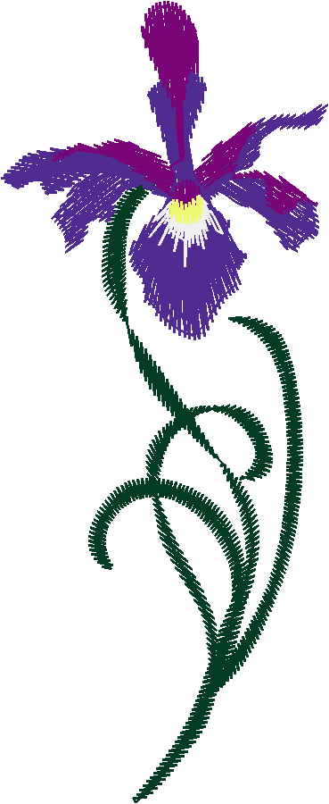 Borders 13 (7)