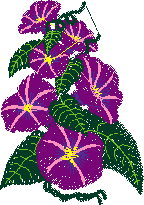 Borders 14 (5)
