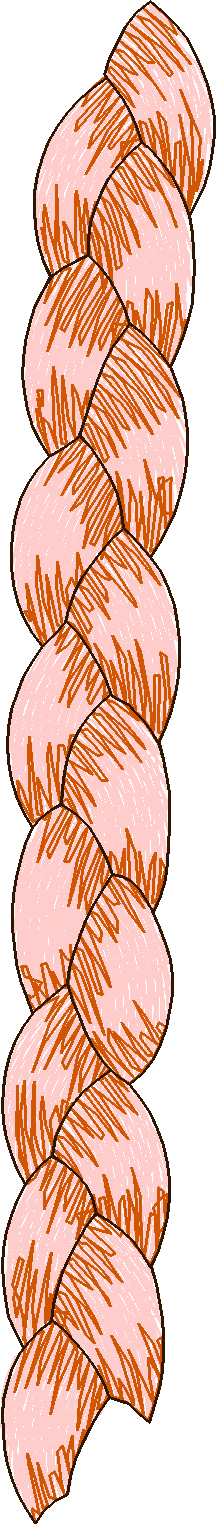 Borders 20 (20)