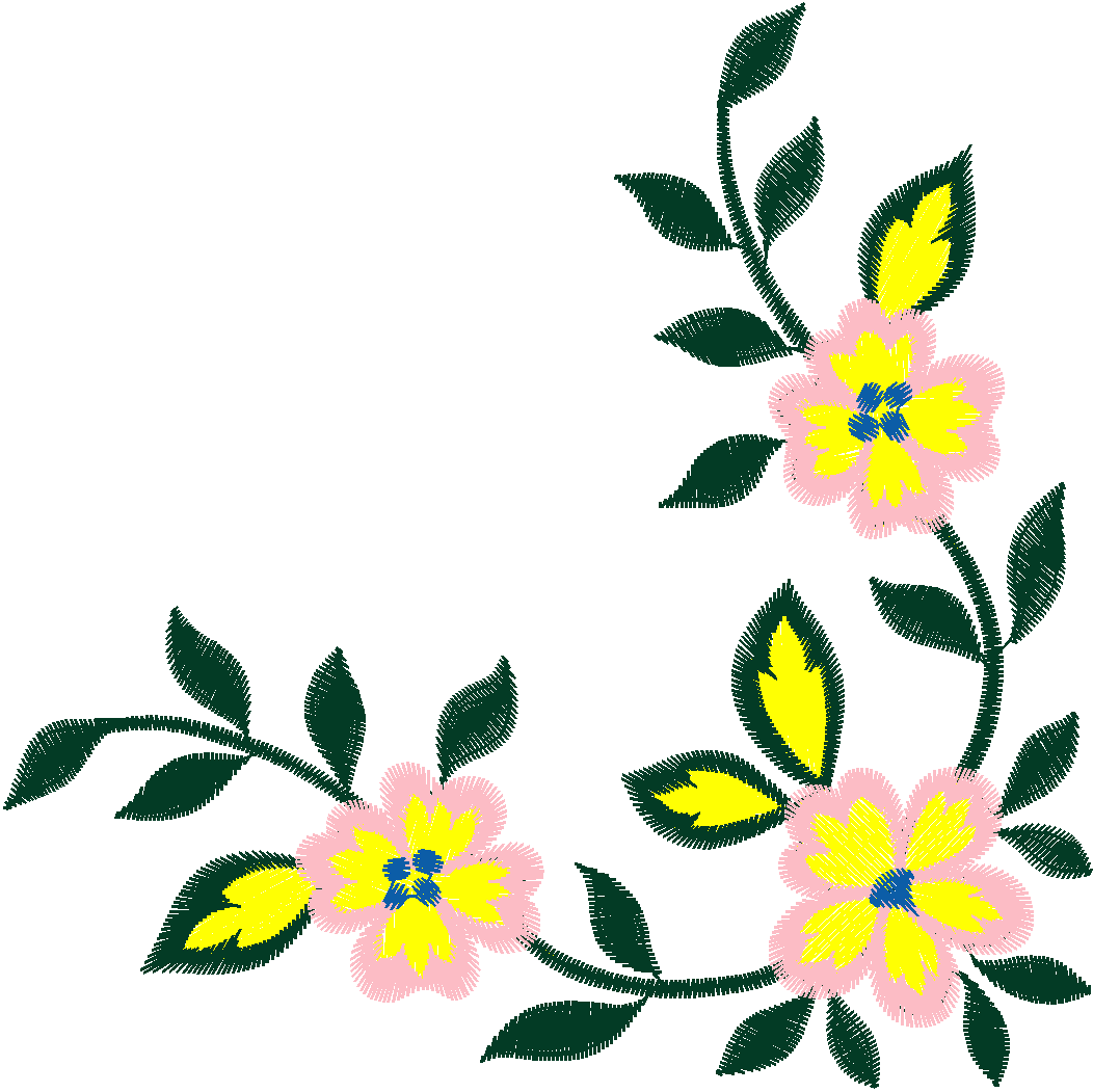 Borders 23 (67)