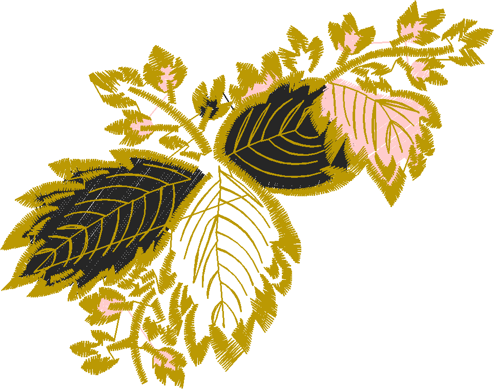 Borders 25 (15)