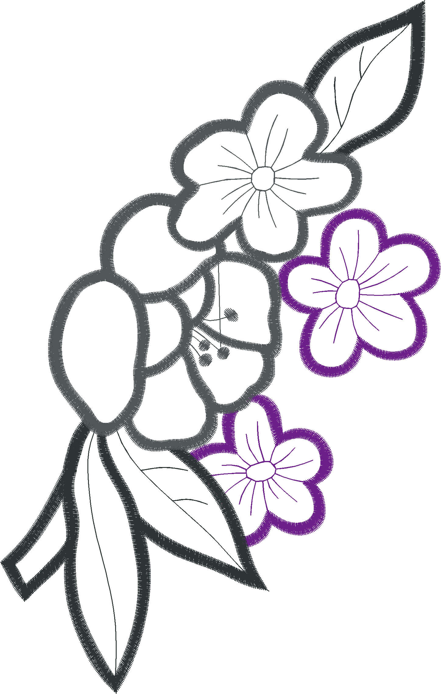 Borders 26 (12)