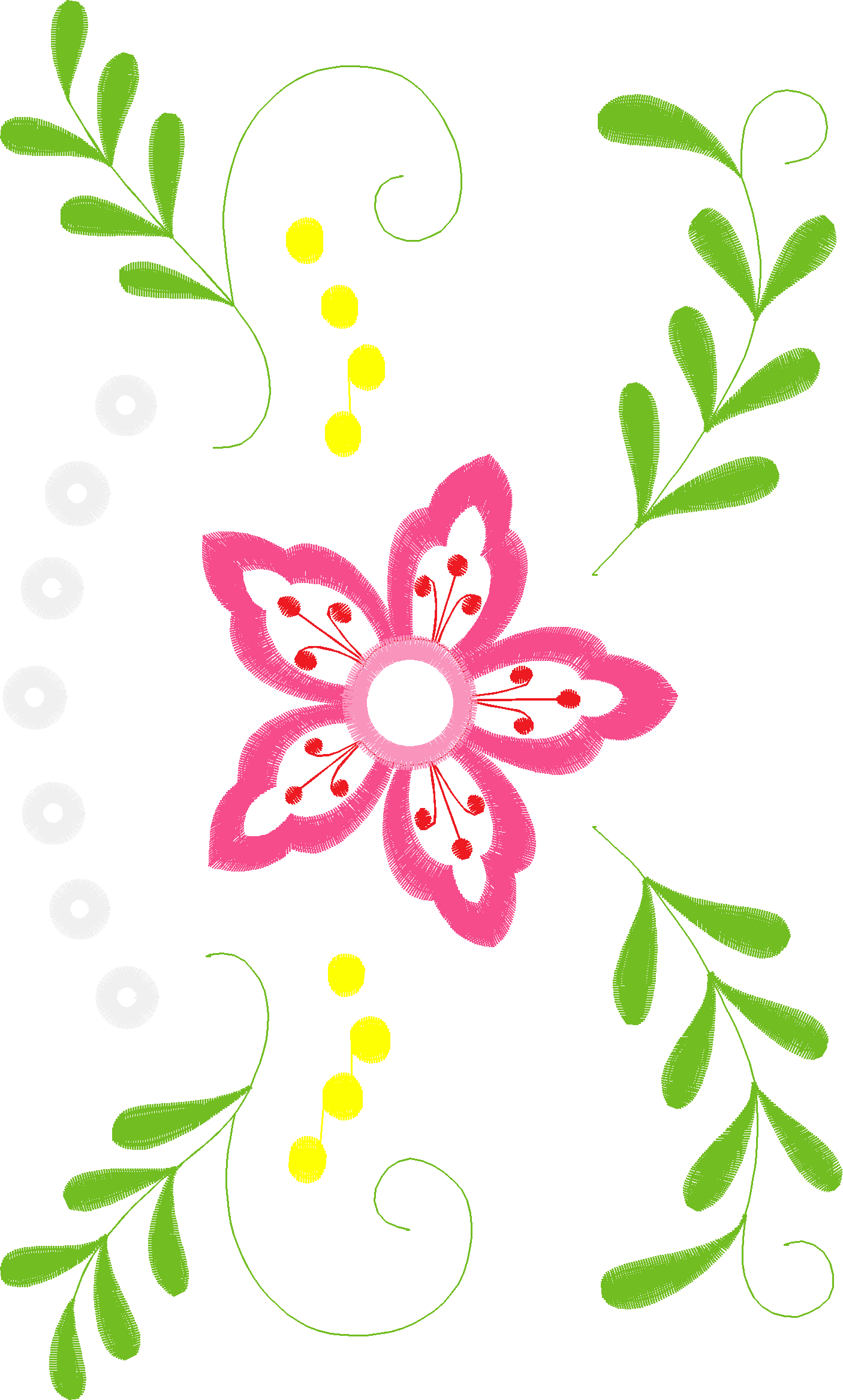 Borders 26 (40)