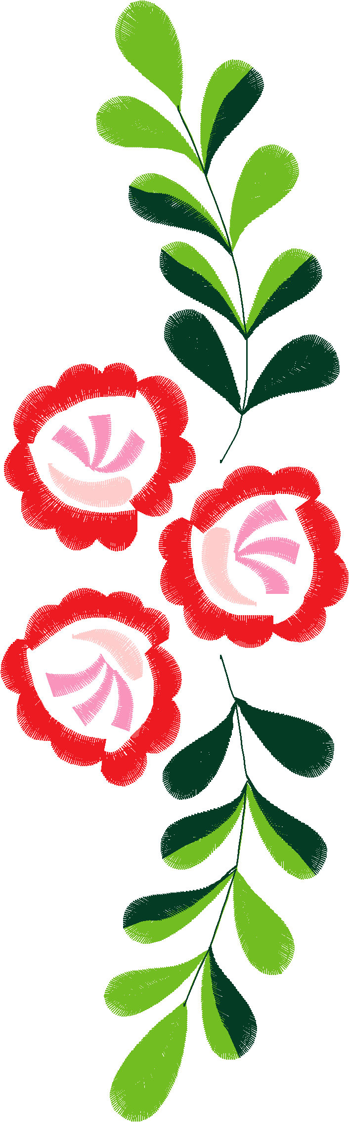 Borders 26 (42)