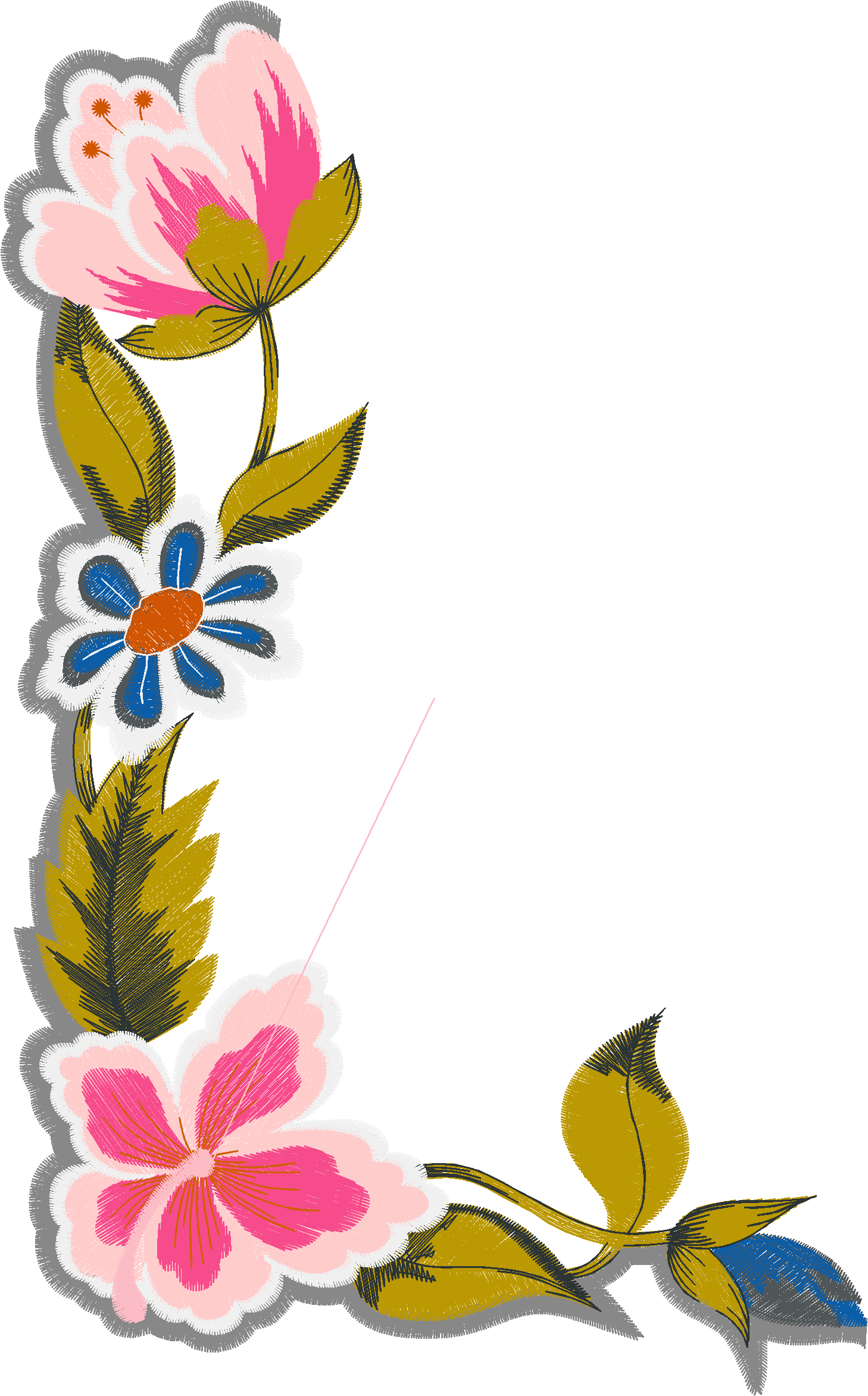 Borders 26 (7)