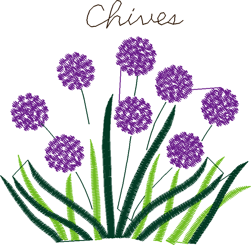 Herbe036