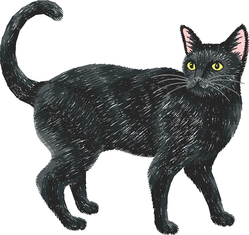 Chat011