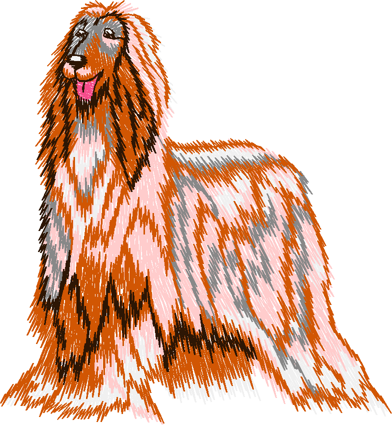 Chien003